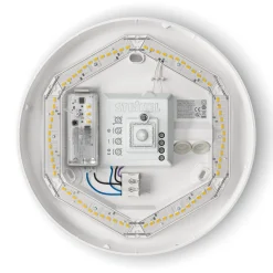 STEINEL RS Pro P2 S -hätävalo tunnistin LED 4000 K