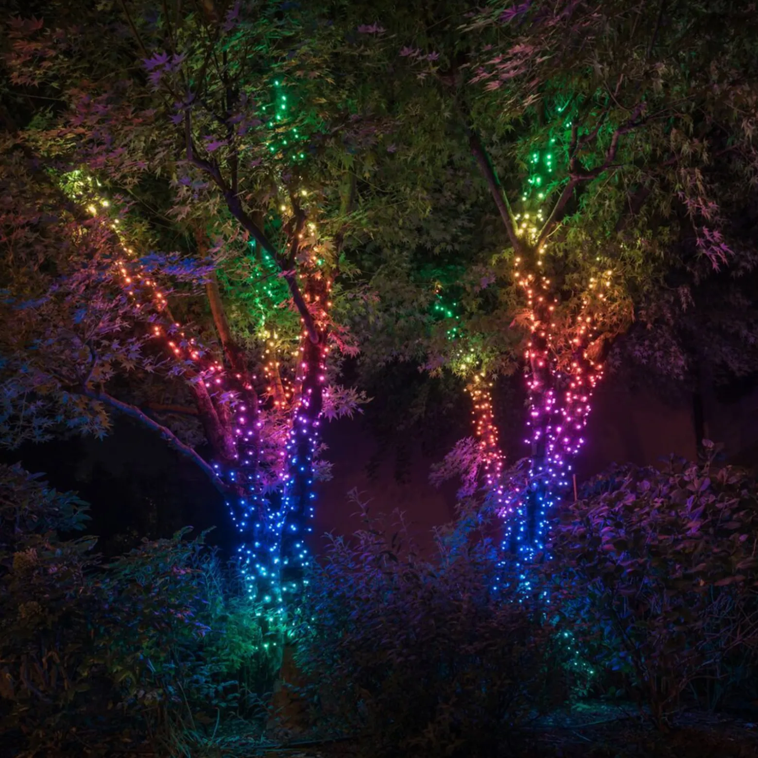 Twinkly RGB keijuvalot, musta, 250 valoa 20m
