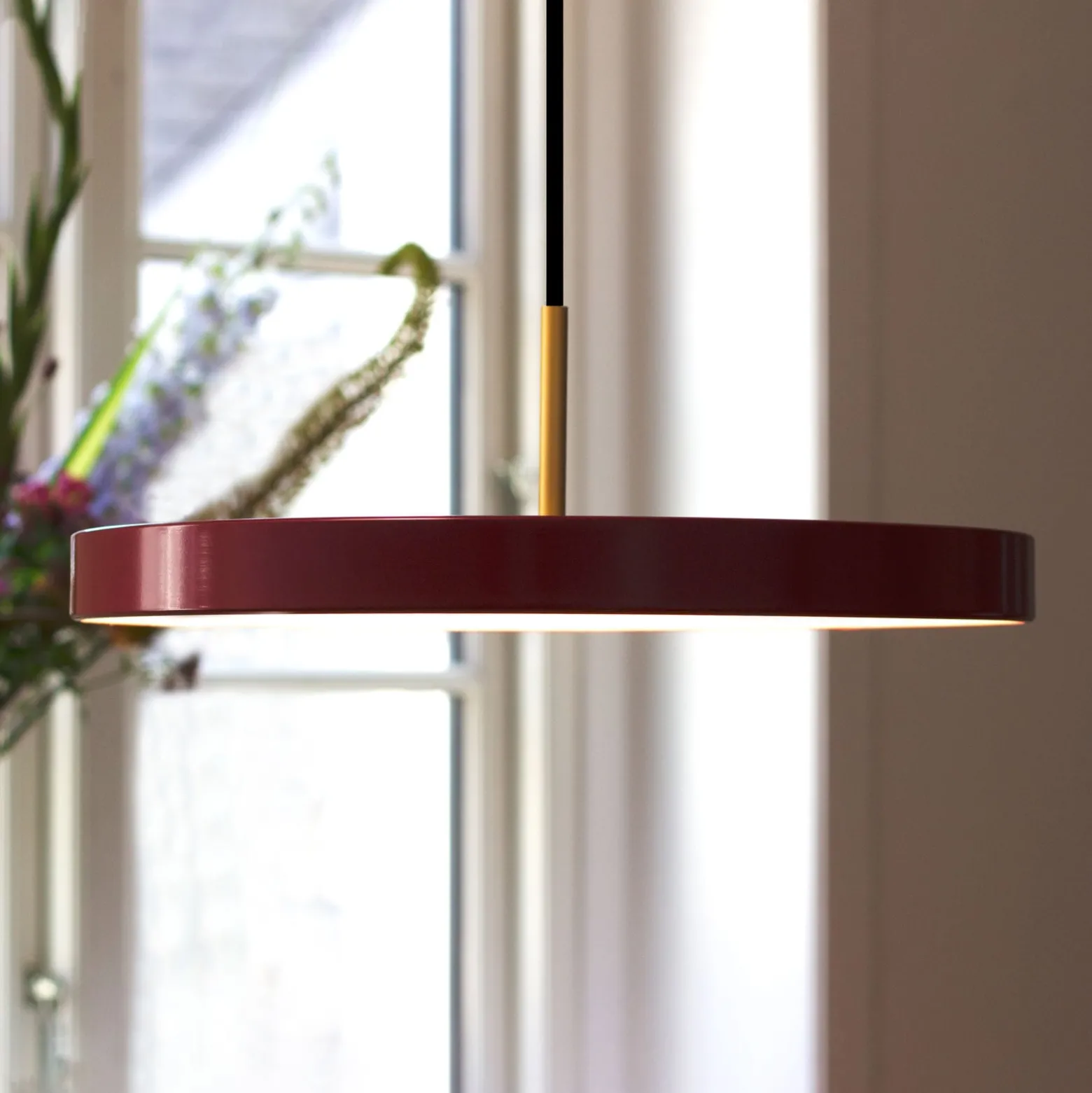 UMAGE Asteria medium -LED-riippuvalo, punainen