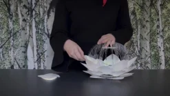 UMAGE Silvia medium -lattiavalaisin teräs